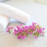 Eleonora, Un Angolo Di Paradiso Ad Ischia Affittacamere 4*