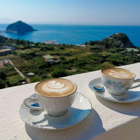 Eleonora, Un Angolo Di Paradiso Ad Ischia Πανσιόν 4*