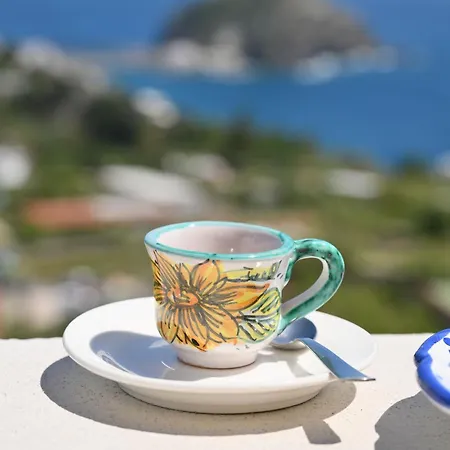 Πανσιόν Eleonora, Un Angolo Di Paradiso Ad Ischia