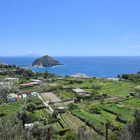 Affittacamere Eleonora, Un Angolo Di Paradiso Ad Ischia 4*