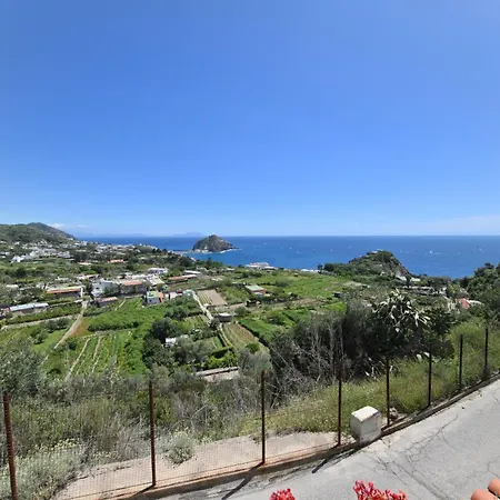 Eleonora, Un Angolo Di Paradiso Ad Ischia Guest house